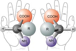 http://upload.wikimedia.org/wikipedia/commons/8/87/Chirality_with_hands.jpg